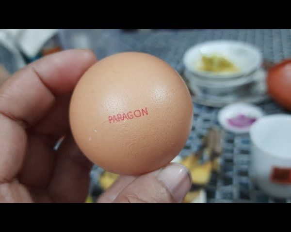 প্যারাগন ডিম - ১২ পিস ( ১ ডজন )